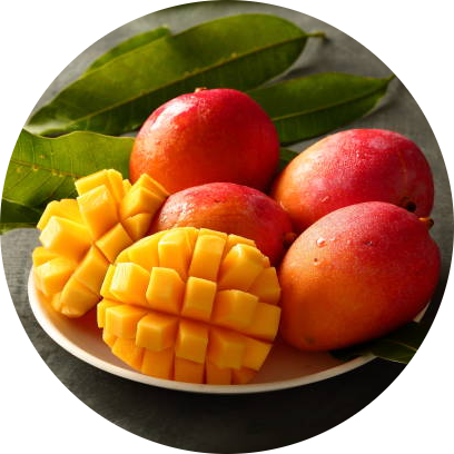 Alphonso Mango